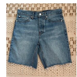 Everlane Blue Denim Cutoff Shorts
